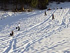 IMG_1512_korr
