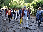 IMG_1537