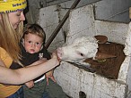 11_IMG_1819