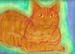 chatran