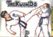 TaeKwonDo_ParkSenngKwan