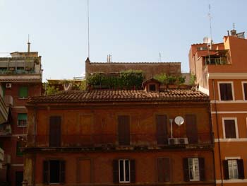 DSCN0271