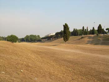 DSCN0488