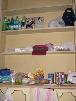 DSCN0541