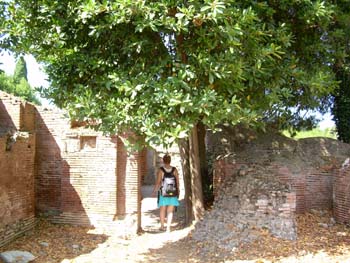 DSCN0591