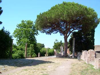 DSCN0607