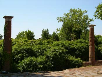 DSCN0608