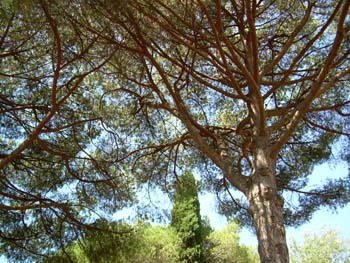 DSCN0616