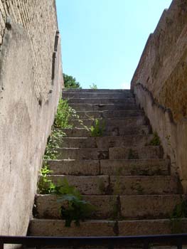DSCN0641