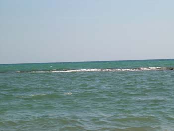 DSCN0687