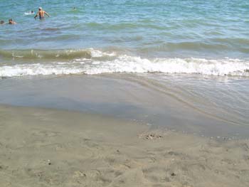 DSCN0688