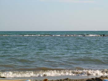 DSCN0701