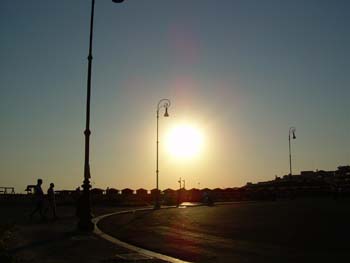 DSCN0704