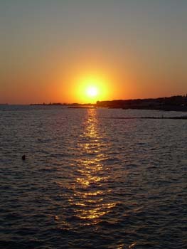 DSCN0709