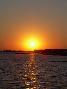 DSCN0711