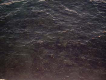 DSCN0715