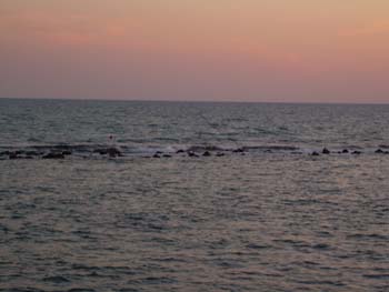 DSCN0716