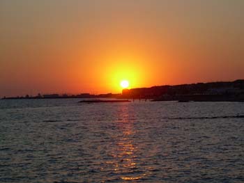 DSCN0718
