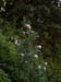 DSCN0528