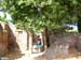 DSCN0591