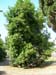 DSCN0594