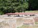 DSCN0596