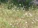 DSCN0619