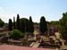 DSCN0634