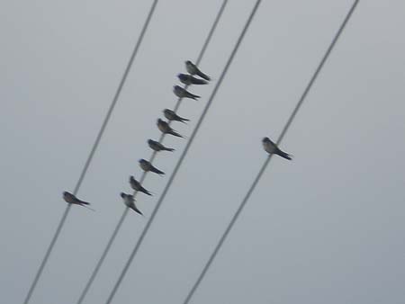 P8030248