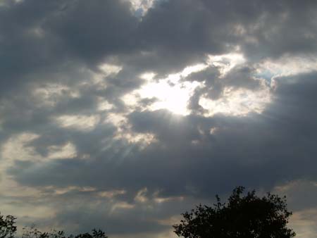 DSCN3961