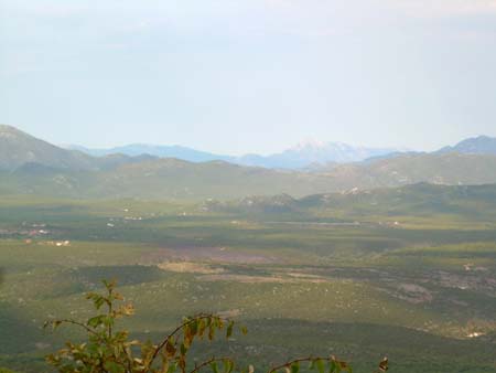 DSCN3963