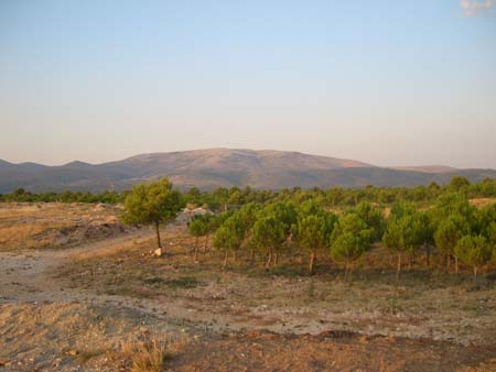 CIMG1424
