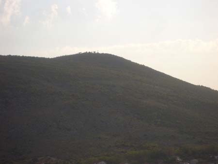 CIMG1455