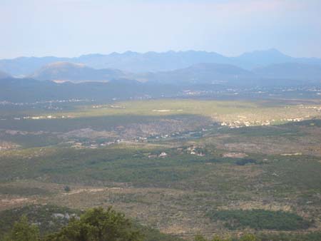 CIMG1474