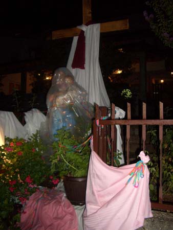 CIMG1658
