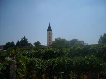 DSCN0537