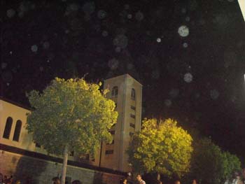 DSCN0552