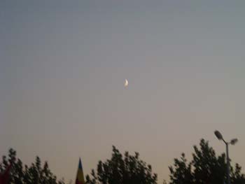 DSCN0600