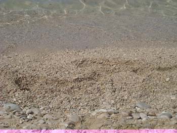DSCN0668
