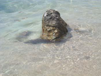 DSCN0696