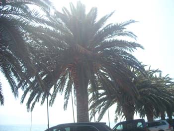DSCN0708