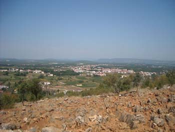 DSCN0736