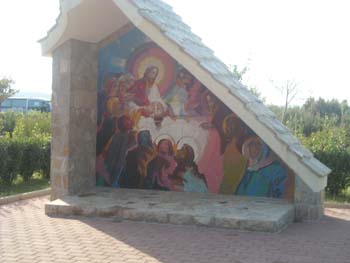 DSCN0785