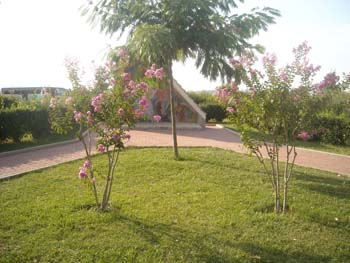 DSCN0798