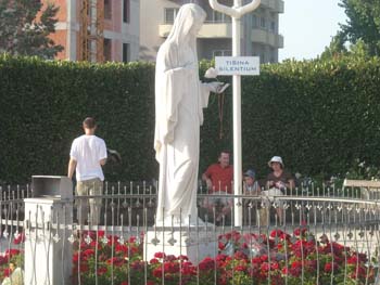 DSCN0803