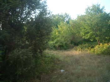 DSCN0819