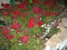 DSCN0619