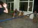 DSCN0635