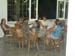 DSCN0650