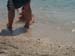 DSCN0685